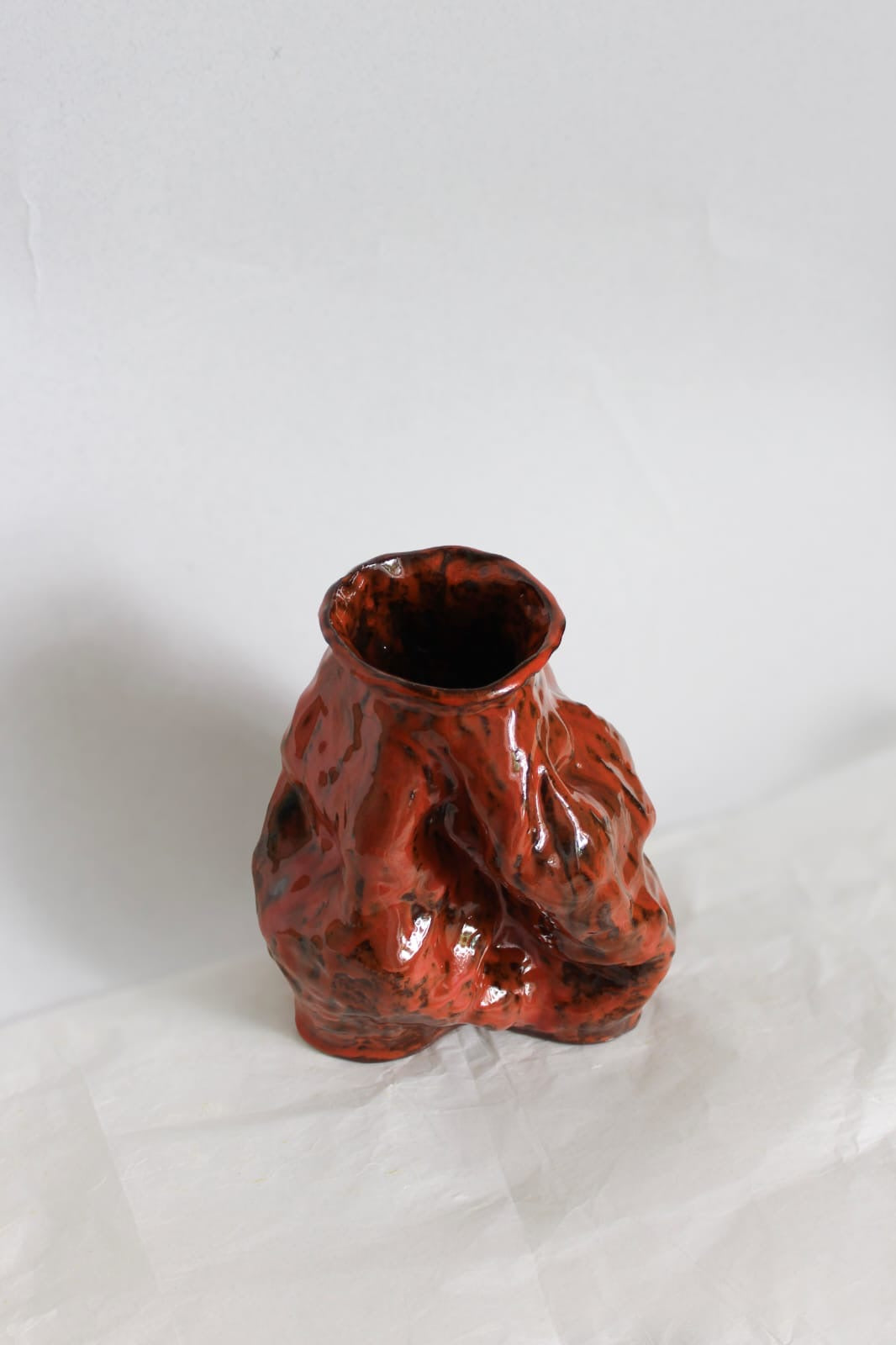 Ember Vessel fra NIWA set skråt ovenfra