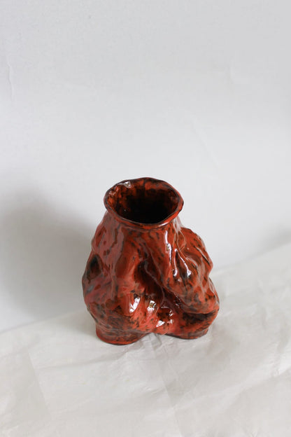 Ember Vessel fra NIWA set skråt ovenfra